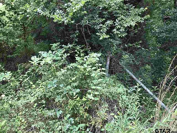 4th image of County Road 4301