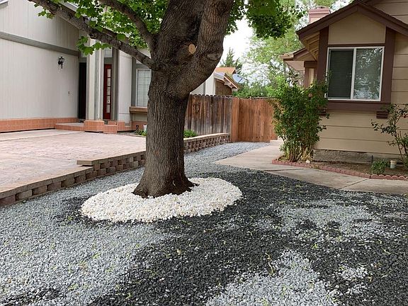 Tree in the front yard