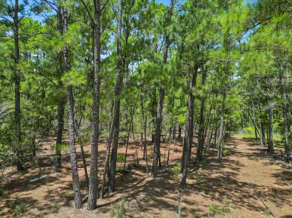 LOT 54 Akala Ln, Bastrop, TX 78602