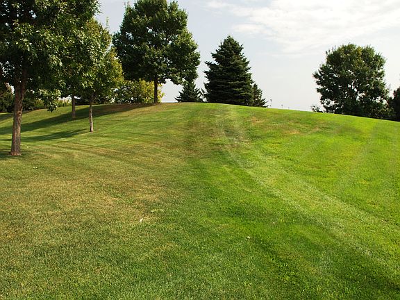 Open backyard, quiet and peaceful.