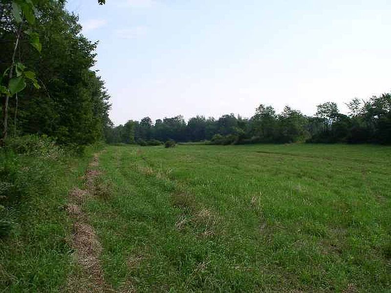 5th image of 1 WILLIAMS Road