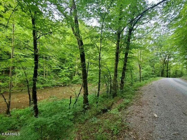Hardys Creek Rd, Jonesville, VA 24263