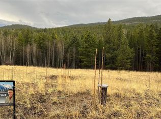 3 Russell Gulch Rd, Central City, CO 80427