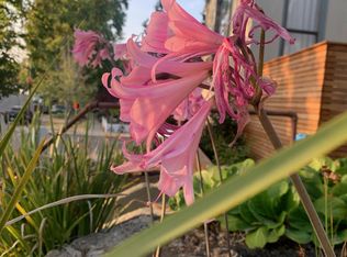 1209 Henry St, Berkeley, CA 94709