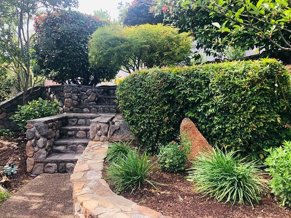 1st image of 565 Peach Ln