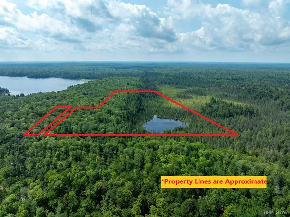 14789 N Crooked Lake Ross Lake Rd, Shingleton, MI 49884