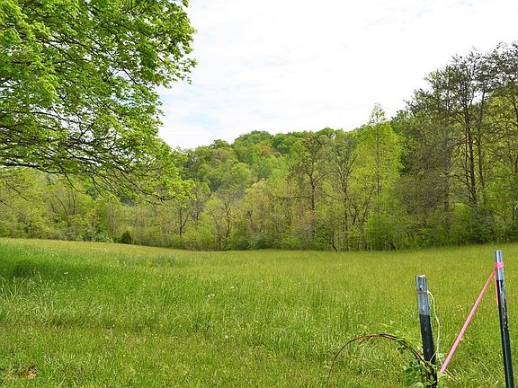 5th image of 2167 Happy Creek Rd