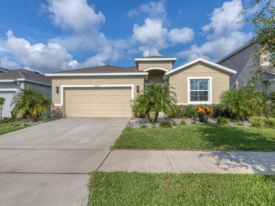 16609 Goose Ribbon Pl, Wimauma, FL, 33598