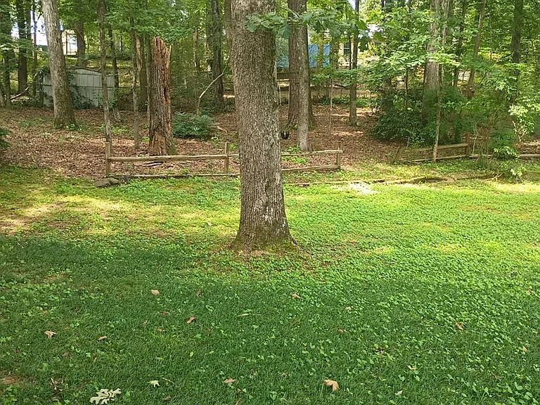4437 Old Hickory Ln — Photo 26