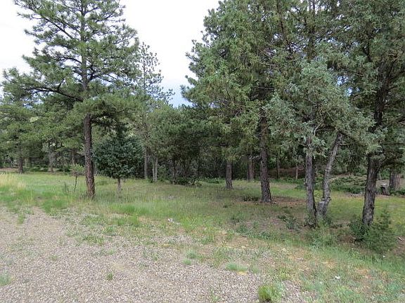 5th image of 33098 Hidden Meadow Ln