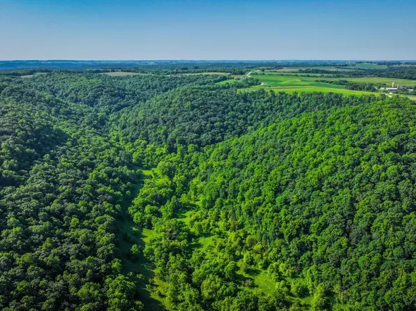 E Twin Ridge Rd, Houston, MN 55943