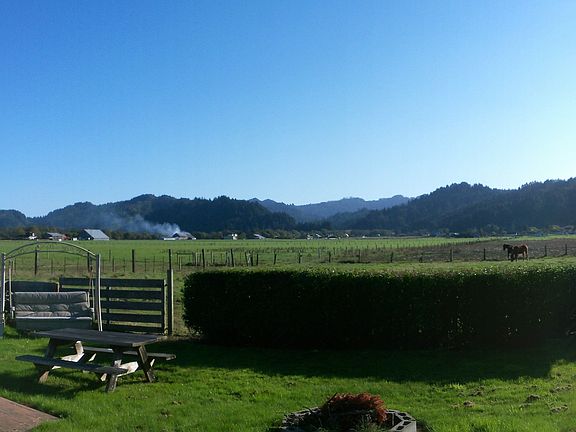 Panoramic backyard view