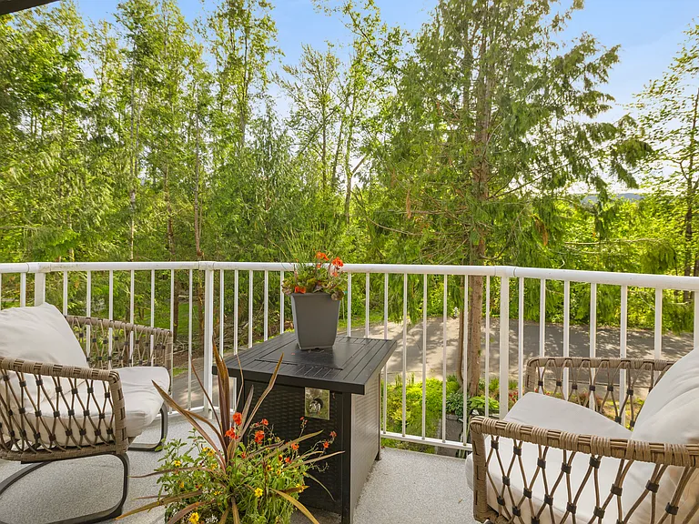 tree house patio
watch the squirrels and birds