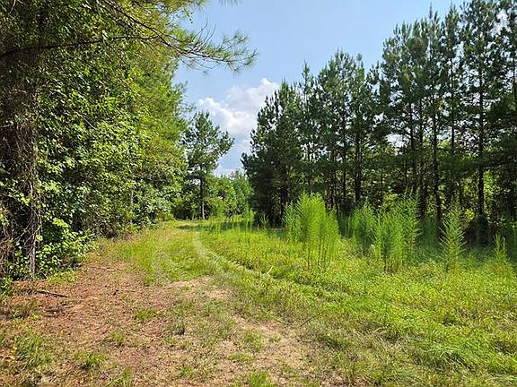 3rd image of 22.656 Acres Tract #13