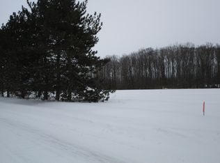 McMichael Rd, Alanson, MI 49706