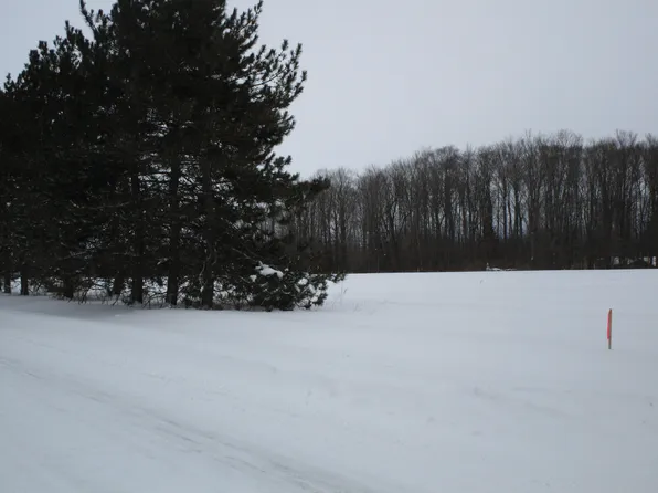 McMichael Rd, Alanson, MI 49706