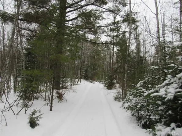 Ffr 2127k Rd, Iron River, MI 49935