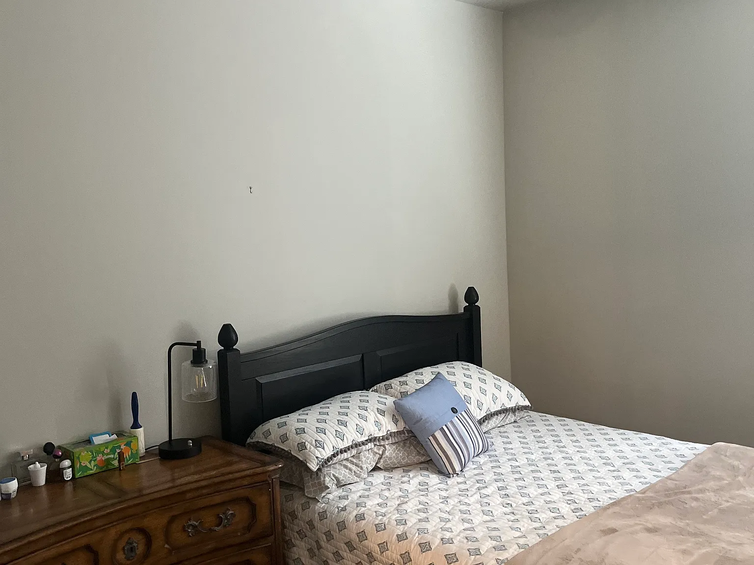 Bald Eagle Loop NE, Rio Rancho — Photo 4