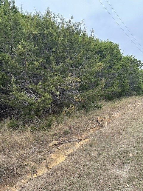 2nd image of 12048 Shady Creek Dr