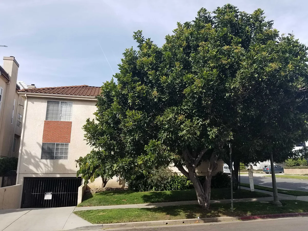 Building Photo - Kerwood Ave