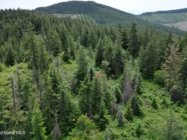 Nka Initial Peak Rd, Cataldo, ID 83810