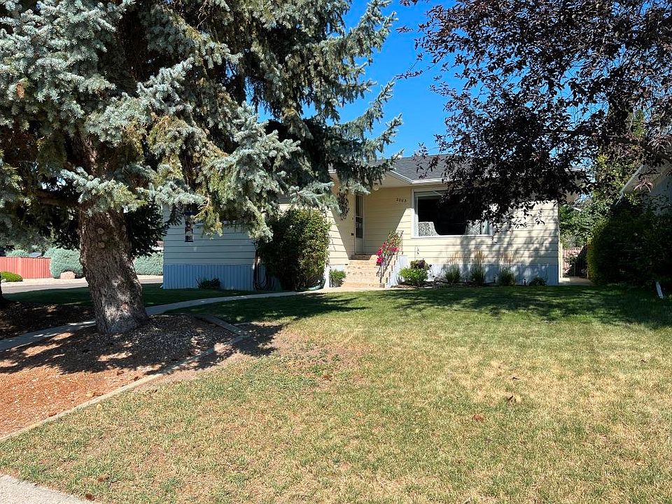 Front yard