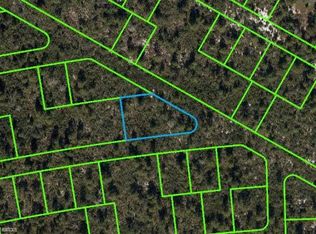 535 Butterfly Ave, Lake Placid, FL 33852