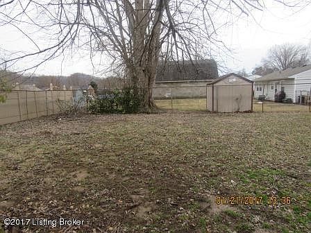 backyard 2