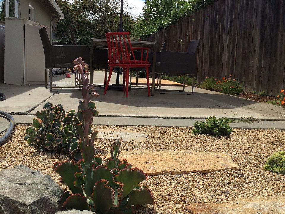 Succulent garden 