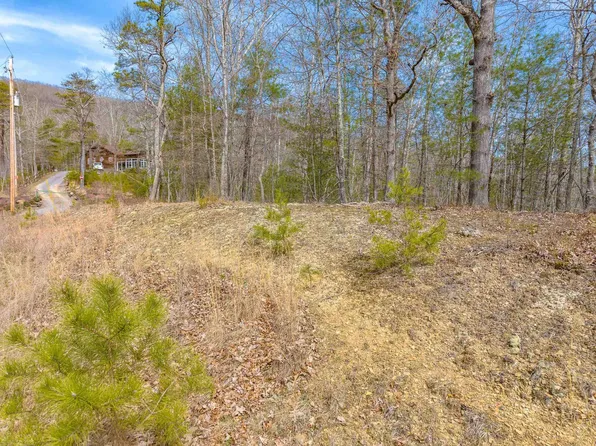Tbdlots1920 Lake Forest Ln, Bland, VA 24315