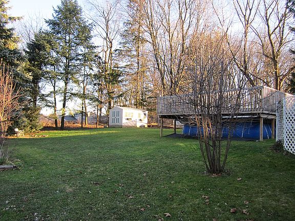 View of pool & shed