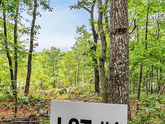 3rd image of 1321 Altamont Rd