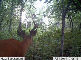 7826 E 4 Mile Rd, Sault Sainte Marie, MI 49783