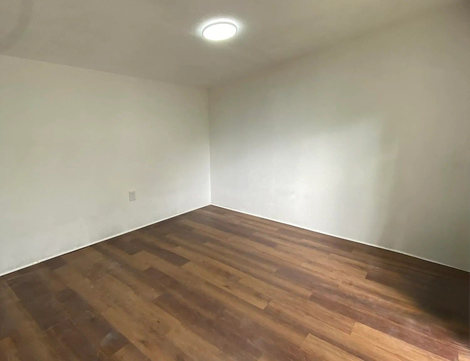 Studio, $1,100 — Photo 1