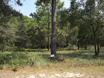 592 Maritime Way SW, Supply, NC, 28462