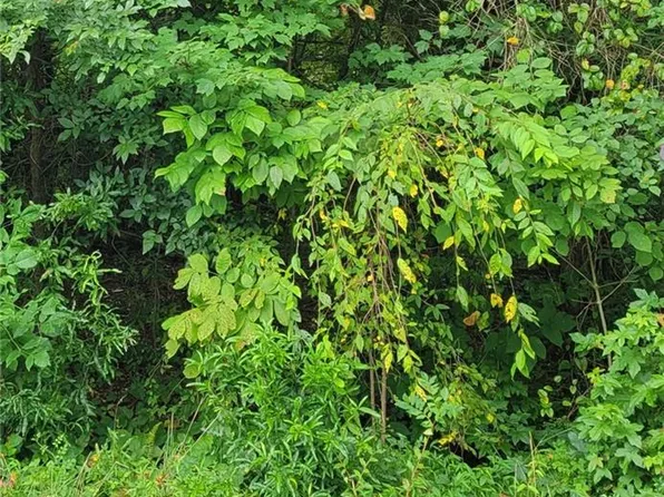 0 Ambridge Dr Lot 38, Kernersville, NC 27284