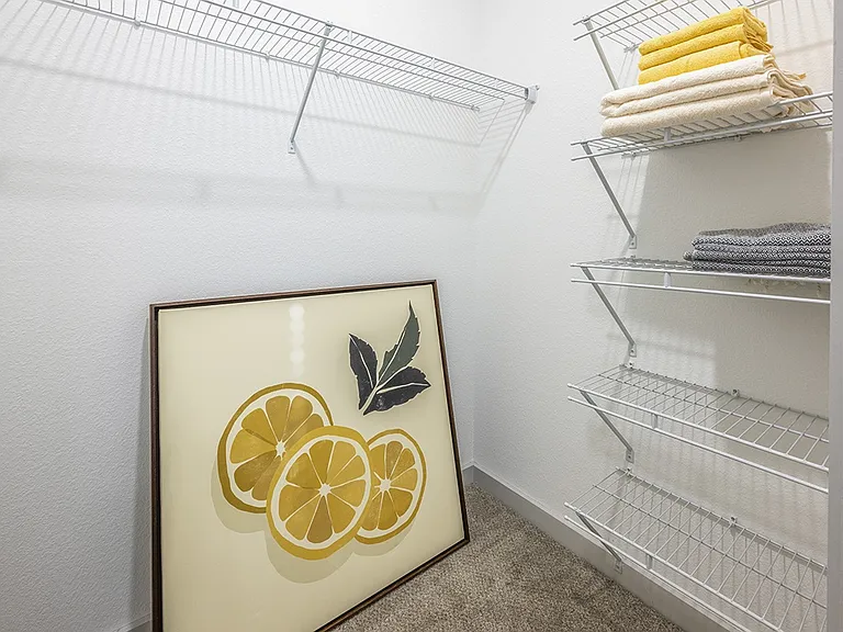 The Clarke at Kendall Town Apartments — Photo 22