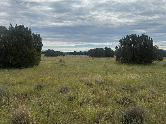 4th image of 149 County Road 3149