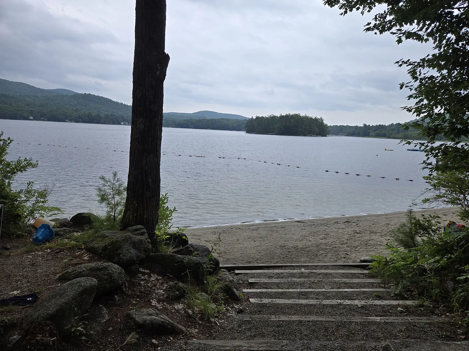 2 bed, 1300 sqft, $2,500 — Photo 2
