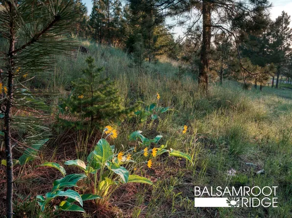 237 S Hills Rd, Clancy, MT 59634