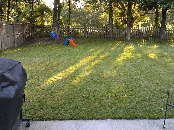 fenced back yard