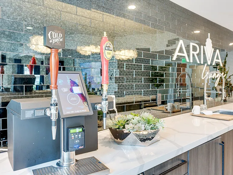 Ariva, San Diego, CA, Lounge