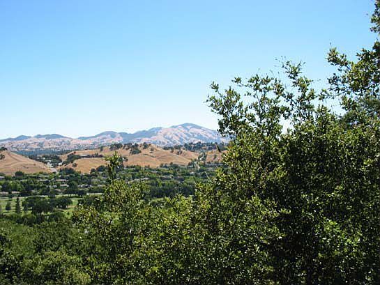 Mt. Diablo View
