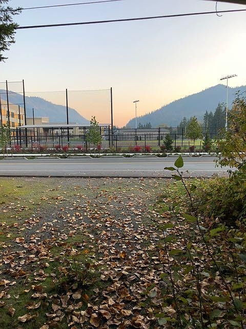 Backyard view