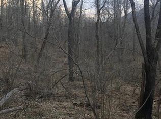 99999 Haylandy Dr, Leicester, NC 28748