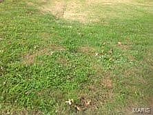 1st image of 0 Cedar Creek Ln