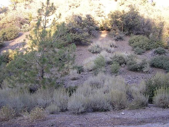 5th image of 1608 Dogwood Way
