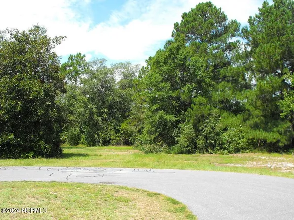 99 Blue Heron Drive, Harrells, NC 28444