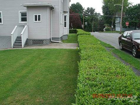 5th image of 33 Watkins Ave