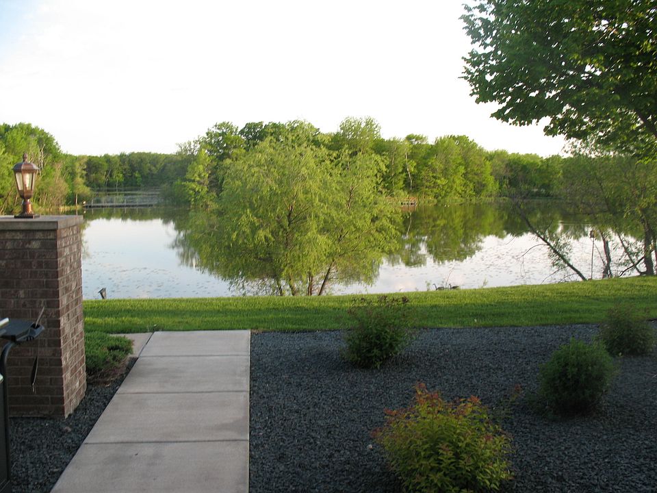 View from Living room